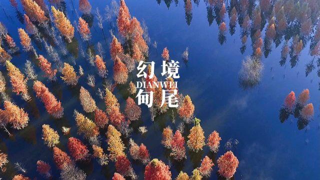 安全感来自于哪些方面?-有问必答平台,解答你的困惑