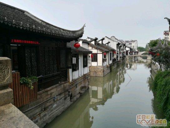 猫爷有新招?—热情奔放的意思问答平台